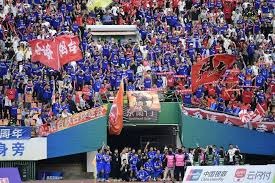 意甲球员在2026世界杯的表现预测与分析